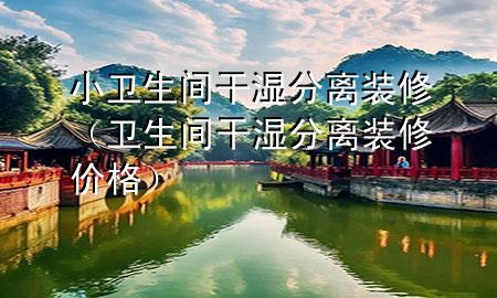 小衛(wèi)生間干濕分離裝修（衛(wèi)生間干濕分離裝修價格）