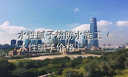 水性膩?zhàn)臃鄯浪┕ぃㄋ阅佔(zhàn)觾r(jià)格）