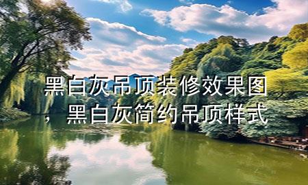 黑白灰吊頂裝修效果圖，黑白灰簡約吊頂樣式