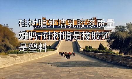 硅樹脂外墻乳膠漆質(zhì)量好嗎-硅樹脂是橡膠還是塑料