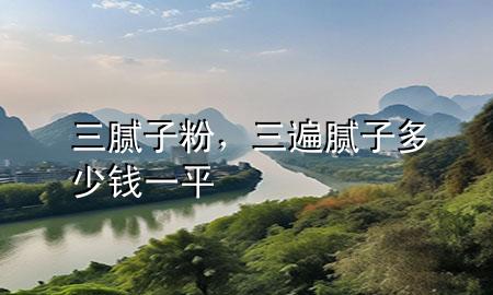 三膩?zhàn)臃?，三遍膩?zhàn)佣嗌馘X一平