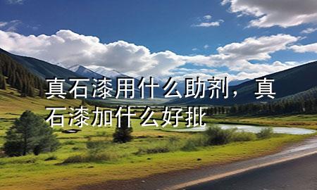 真石漆用什么助劑，真石漆加什么好批