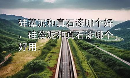 硅藻泥和真石漆哪個好，硅藻泥和真石漆哪個好用