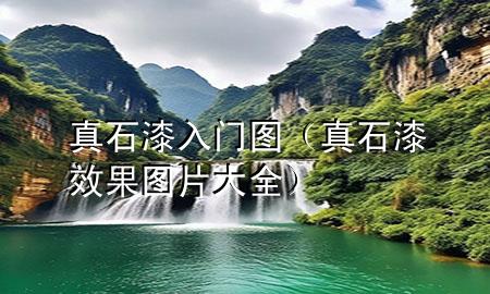 真石漆入門圖（真石漆效果圖片大全）