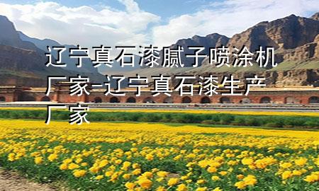 遼寧真石漆膩子噴涂機廠家-遼寧真石漆生產(chǎn)廠家