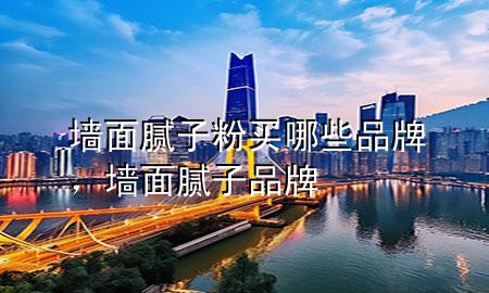 墻面膩?zhàn)臃圪I(mǎi)哪些品牌，墻面膩?zhàn)?品牌