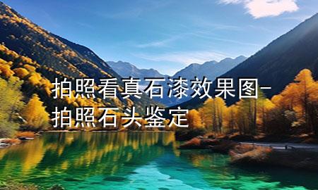 拍照看真石漆效果圖-拍照石頭鑒定