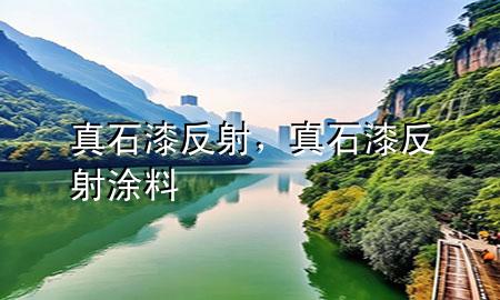 真石漆反射，真石漆反射涂料