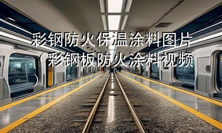 彩鋼防火保溫涂料圖片（彩鋼板防火涂料視頻）
