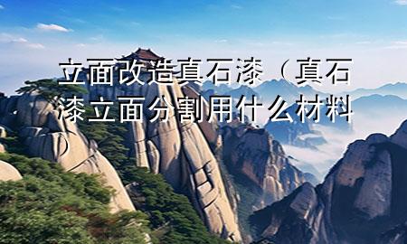 立面改造 真石漆（真石漆立面分割用什么材料）