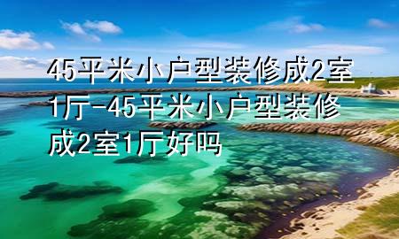 45平米小戶型裝修成2室1廳-45平米小戶型裝修成2室1廳好嗎