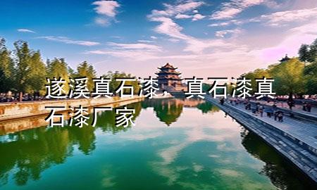 遂溪真石漆，真石漆真石漆廠家