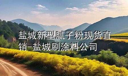 鹽城新型膩?zhàn)臃郜F(xiàn)貨直銷-鹽城刷涂料公司