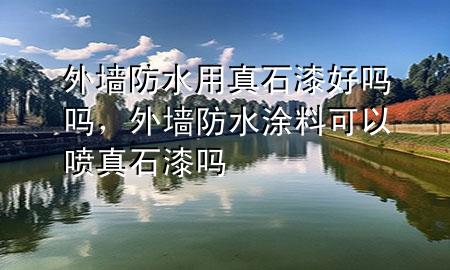 外墻防水用真石漆好嗎嗎，外墻防水涂料可以噴真石漆嗎