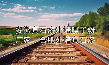 安徽真石漆外墻膩子粉廠家，合肥外墻真石漆