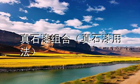 真石漆組合（真石漆用法）