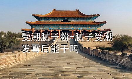 受潮膩?zhàn)臃?膩?zhàn)邮艹卑l(fā)霉后能干嗎