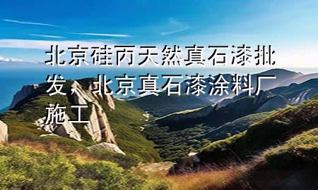 北京硅丙天然真石漆批發(fā)，北京真石漆涂料廠施工