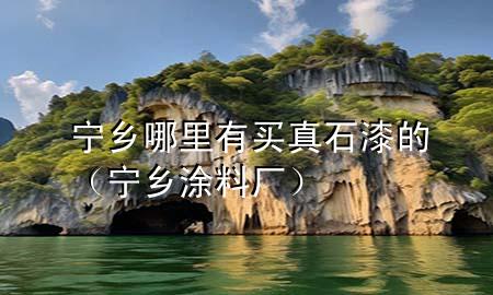 寧鄉(xiāng)哪里有買真石漆的（寧鄉(xiāng)涂料廠）