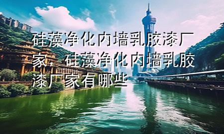 硅藻凈化內(nèi)墻乳膠漆廠家，硅藻凈化內(nèi)墻乳膠漆廠家有哪些