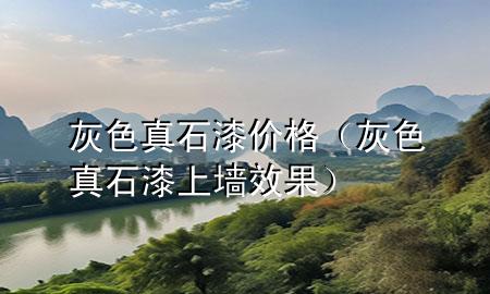 灰色真石漆價(jià)格（灰色真石漆上墻效果）