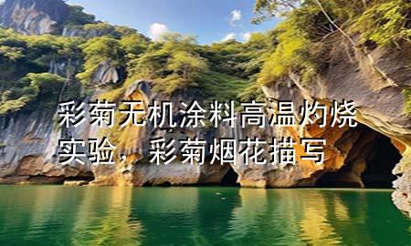 彩菊無(wú)機(jī)涂料高溫灼燒實(shí)驗(yàn)，彩菊煙花描寫