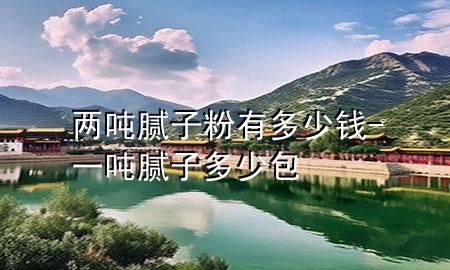 兩噸膩子粉有多少錢-一噸膩子多少包