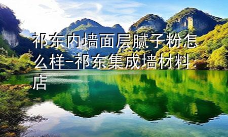 祁東內(nèi)墻面層膩?zhàn)臃墼趺礃?祁東集成墻材料:店