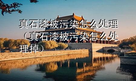 真石漆被污染怎么處理（真石漆被污染怎么處理掉）
