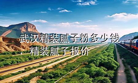 武漢精裝膩子粉多少錢，精裝膩子報價