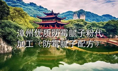 漳州優(yōu)質(zhì)防霉膩子粉代加工（防霉膩子配方）