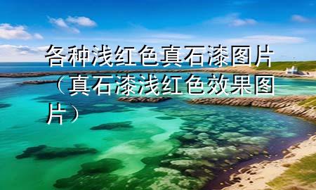 各種淺紅色真石漆圖片（真石漆淺紅色效果圖片）