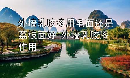 外墻乳膠漆用毛面還是荔枝面好-外墻乳膠漆作用
