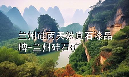 蘭州硅丙天然真石漆品牌-蘭州硅石礦