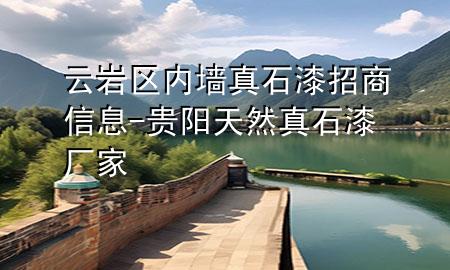 云巖區(qū)內(nèi)墻真石漆招商信息-貴陽天然真石漆廠家