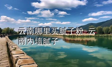 云南哪里買膩子粉-云南內(nèi)墻膩子