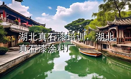 湖北真石漆培訓(xùn)，湖北真石漆涂料廠