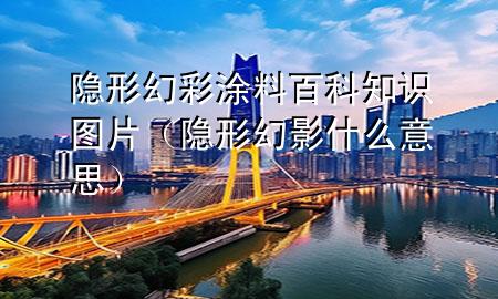 隱形幻彩涂料百科知識圖片（隱形幻影什么意思）