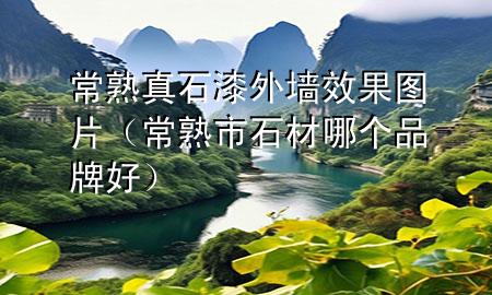 常熟真石漆外墻效果圖片（常熟市石材哪個品牌好）