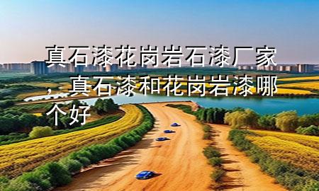 真石漆花崗巖石漆廠家，真石漆和花崗巖漆哪個好