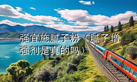 強宜施膩子粉（膩子增強劑是真的嗎）