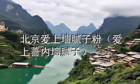 北京愛上墻膩子粉（愛上薔內墻膩子）