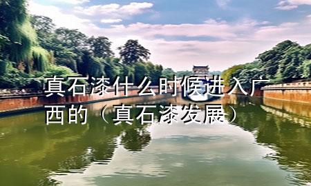 真石漆什么時候進(jìn)入廣西的（真石漆發(fā)展）