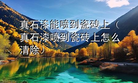 真石漆能噴到瓷磚上（真石漆噴到瓷磚上怎么清除）