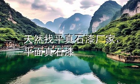 天然找平真石漆廠家，平面真石漆