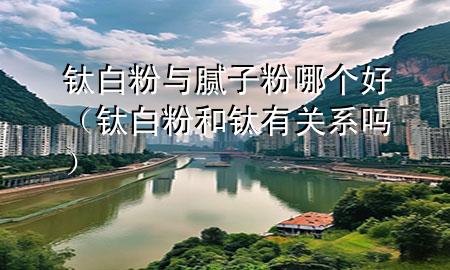 鈦白粉與膩子粉哪個好（鈦白粉和鈦有關系嗎）