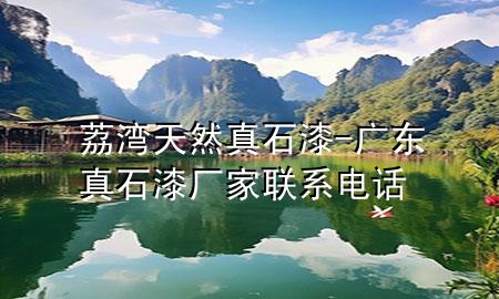 荔灣天然真石漆-廣東真石漆廠家聯(lián)系電話