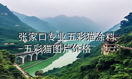張家口專業(yè)五彩貓涂料-五彩貓圖片價格