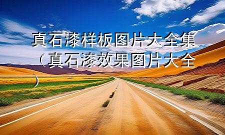 真石漆樣板圖片大全集（真石漆效果圖片大全）