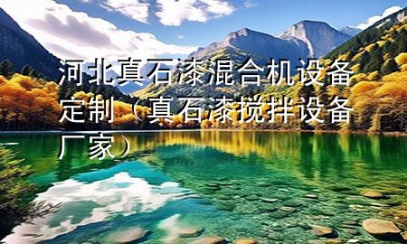 河北真石漆混合機(jī)設(shè)備定制（真石漆攪拌設(shè)備廠家）